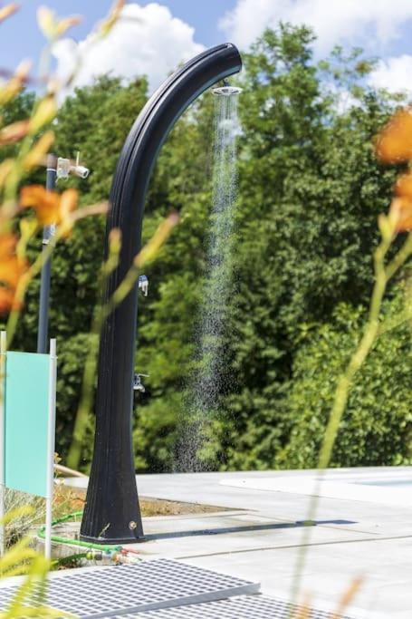Luxury Villa Cetiri Hrasta Pićan Exteriör bild