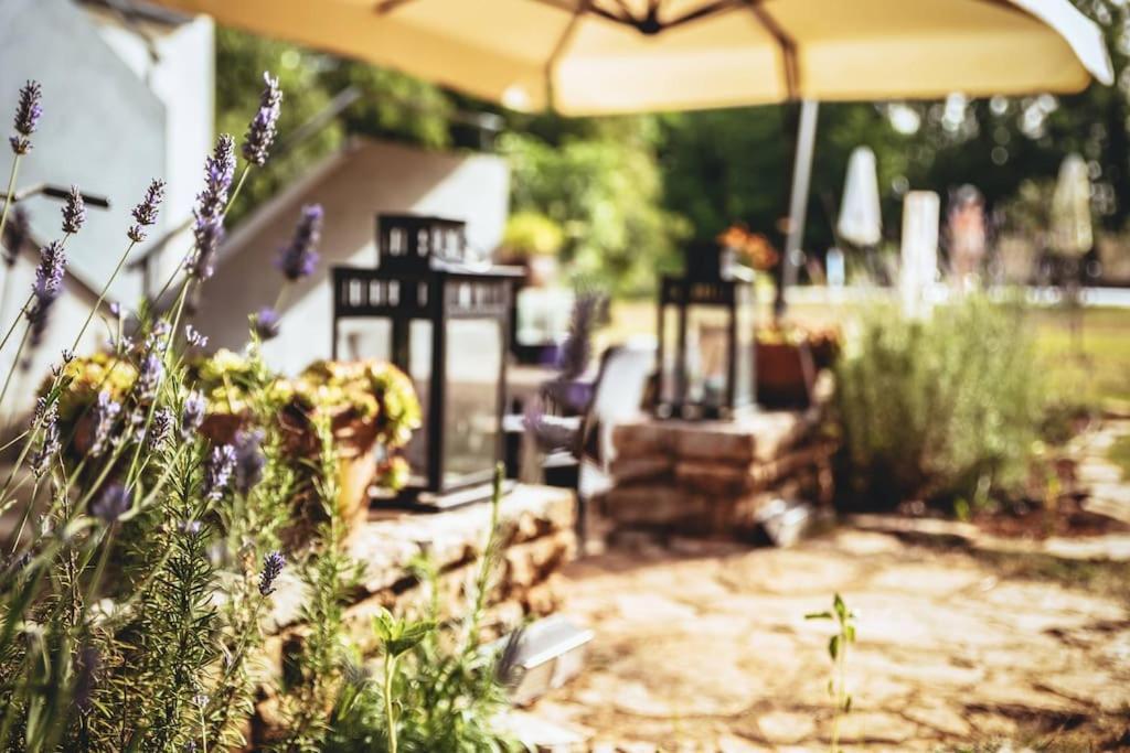 Luxury Villa Cetiri Hrasta Pićan Exteriör bild