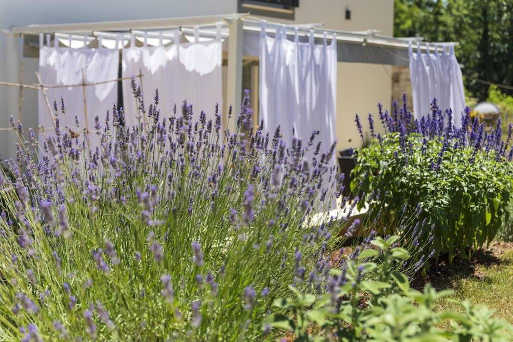 Luxury Villa Cetiri Hrasta Pićan Exteriör bild