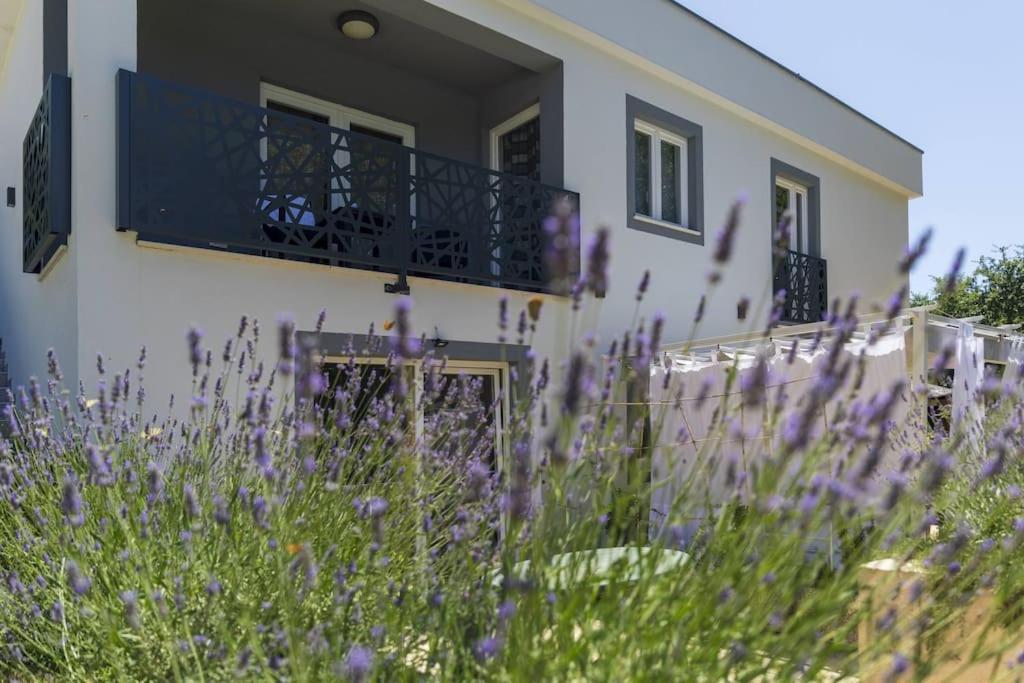 Luxury Villa Cetiri Hrasta Pićan Exteriör bild