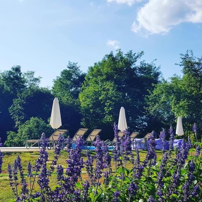 Luxury Villa Cetiri Hrasta Pićan Exteriör bild